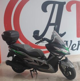 Kawasaki J300